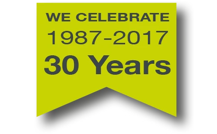 Our milestone in 2017
