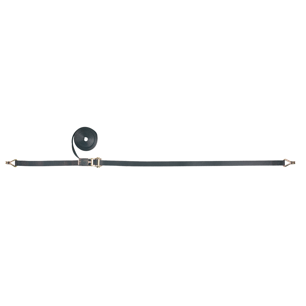 Ratchet Assembly 8M – RW1901