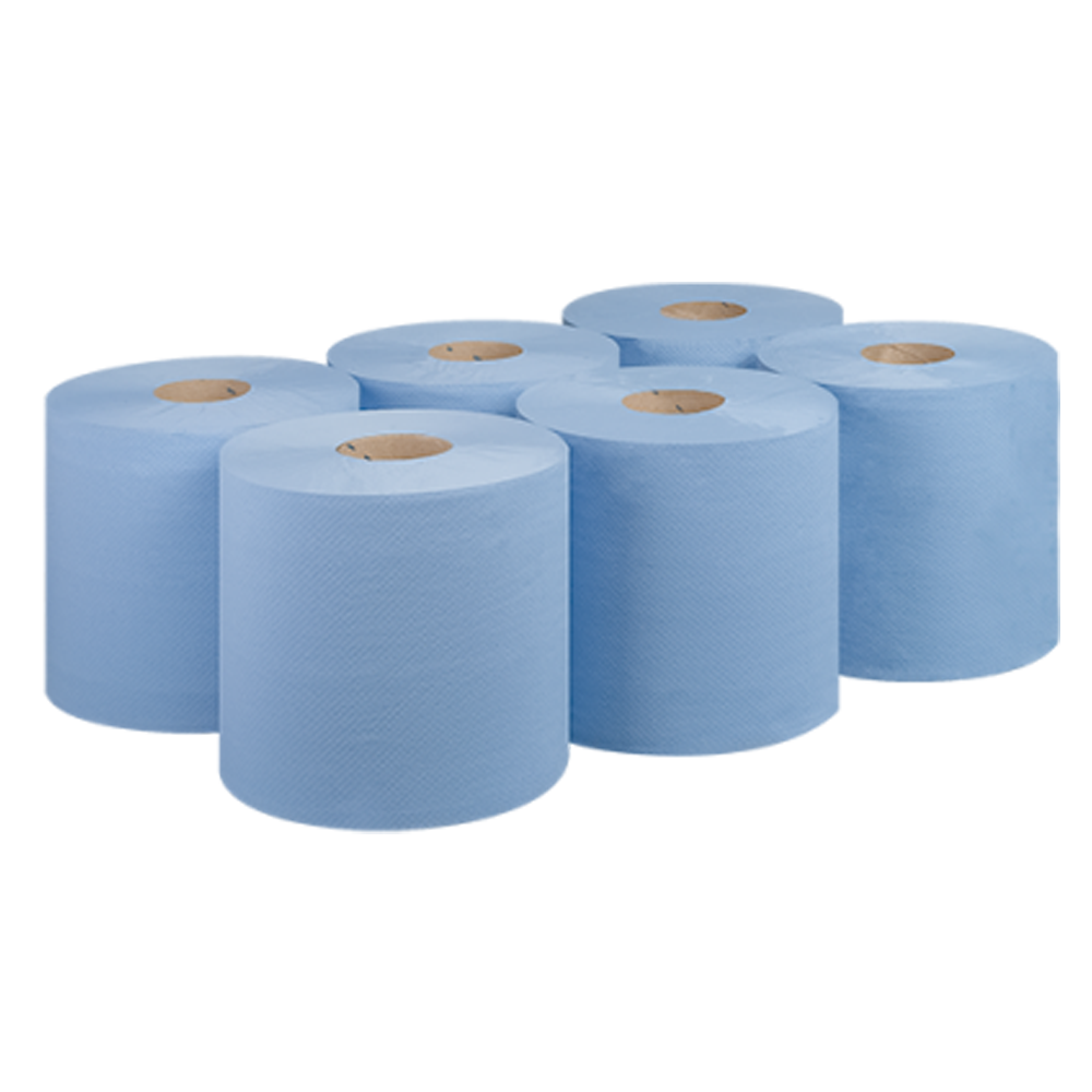 Recycled 2-Ply Blue Centre Feed Pack of 6 – WI2020